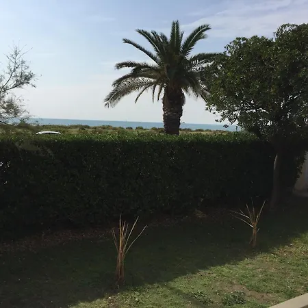 Amazing Near Pet Friendly *