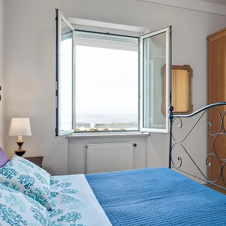 Amazing Near Pet Friendly Carrara