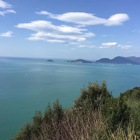 Amazing Near Pet Friendly Carrara