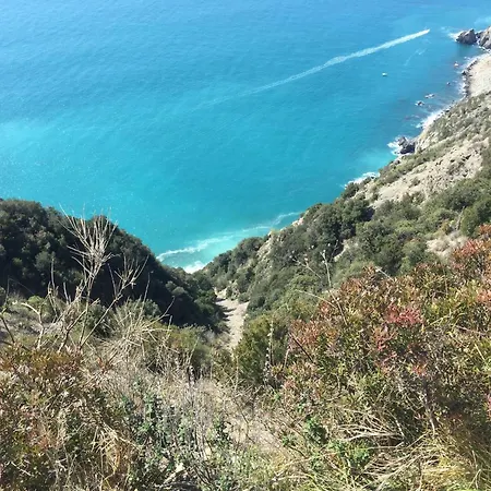 Amazing Near Pet Friendly Holiday home
