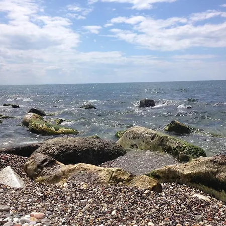 Amazing Near Pet Friendly * Carrara