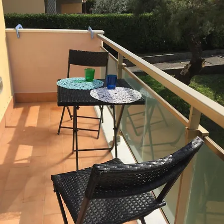Amazing Near Pet Friendly * Carrara