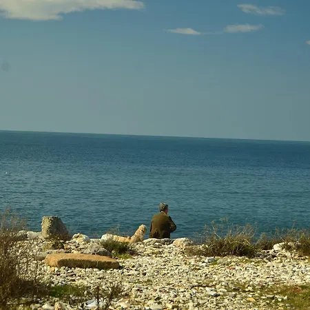Prázdninový dům Amazing Near Pet Friendly