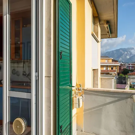 Amazing Near Pet Friendly * Carrara