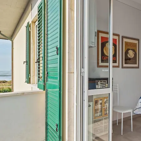 Amazing Near Pet Friendly *