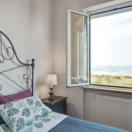 Amazing Near Pet-friendly *