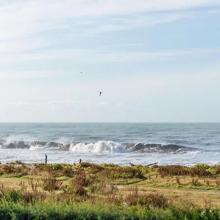 Amazing Near Pet-friendly Carrara